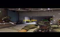 双宠大作战：默契挑战